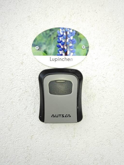 Das Lupinchen نيوس المظهر الخارجي الصورة